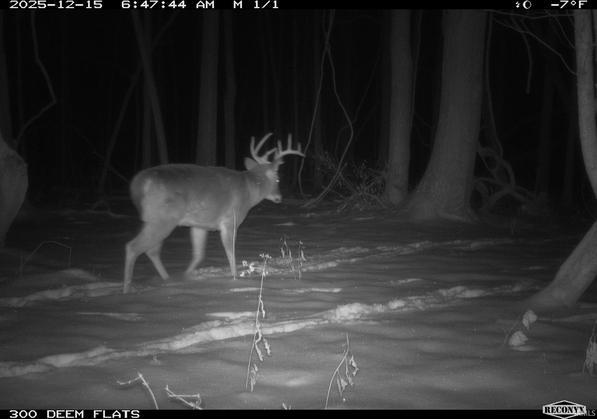 0 1300 S Clinton, IN 47842 - Photo 26 of 30