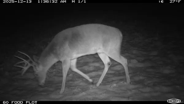 $241,360 | 0 1300 S, Clinton, IN 47842