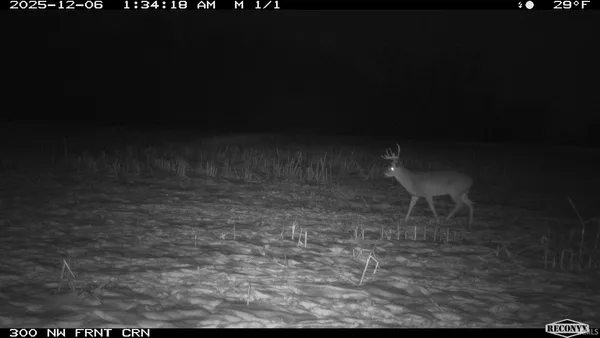 $241,360 | 0 1300 S, Clinton, IN 47842