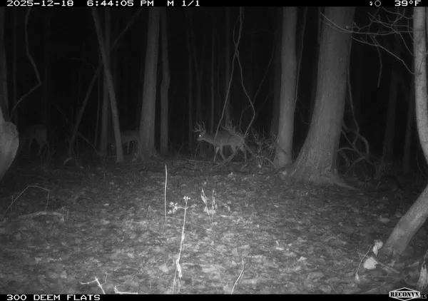 $241,360 | 0 1300 S, Clinton, IN 47842