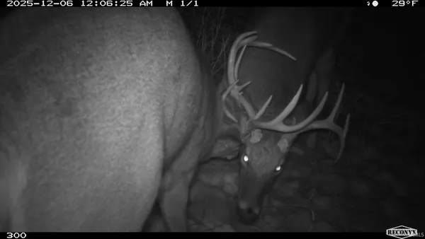 $241,360 | 0 1300 S, Clinton, IN 47842