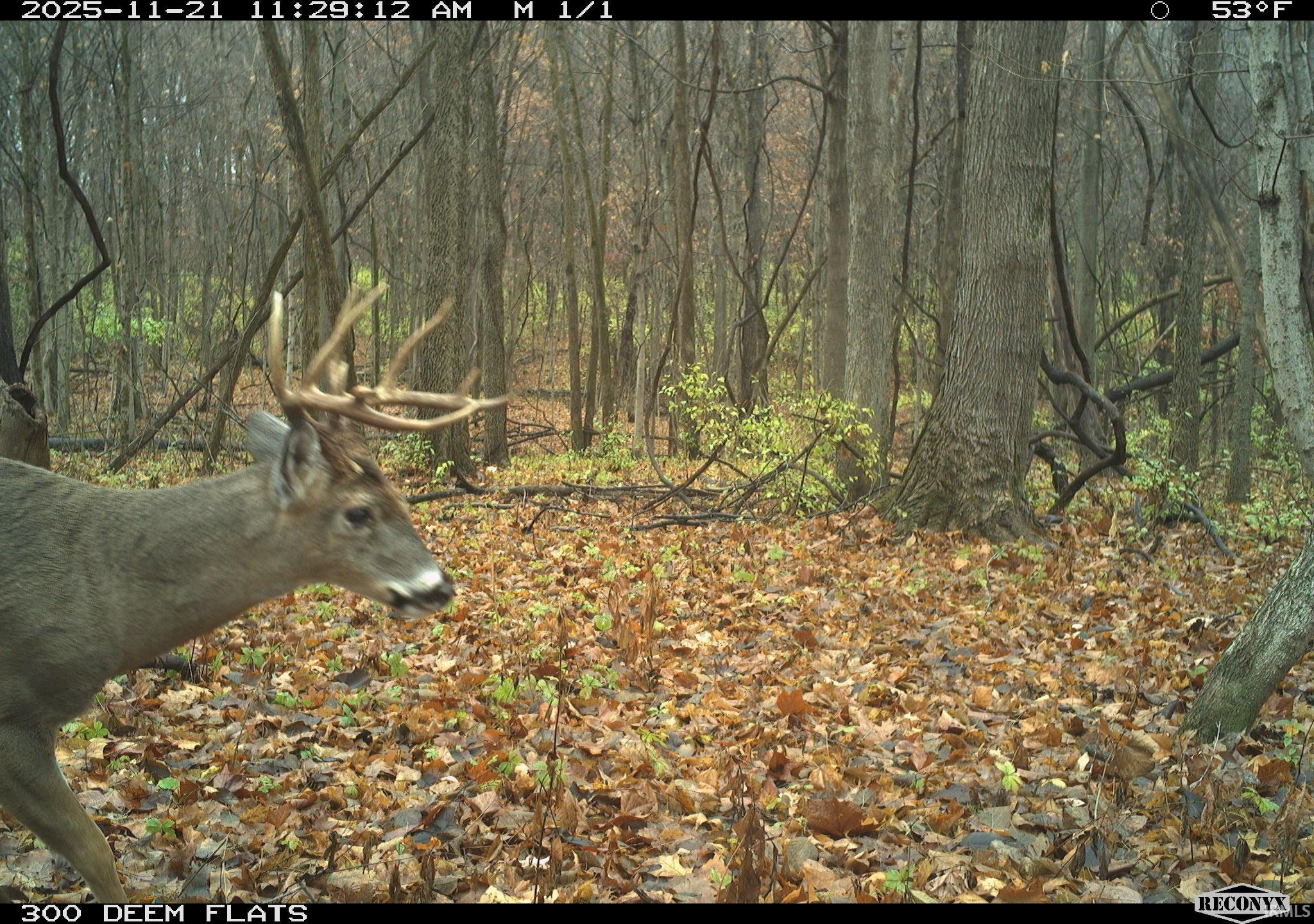 0 1300 S Clinton, IN 47842 - Photo 9 of 30