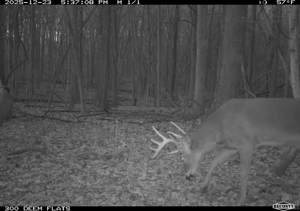 $241,360 | 0 1300 S, Clinton, IN 47842