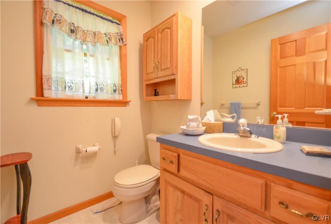 375 Woodline Road Nazareth, PA 18064 - Photo 15 of 22 a bathroom with a sink a toilet and a mirror