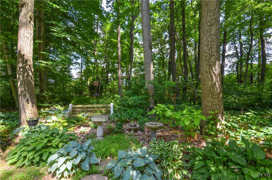 375 Woodline Road Nazareth, PA 18064 - Photo 20 of 22 a backyard of a house with lots of green space