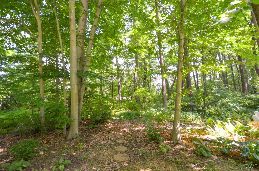 375 Woodline Road Nazareth, PA 18064 - Photo 21 of 22 a backyard of a house with lots of green space