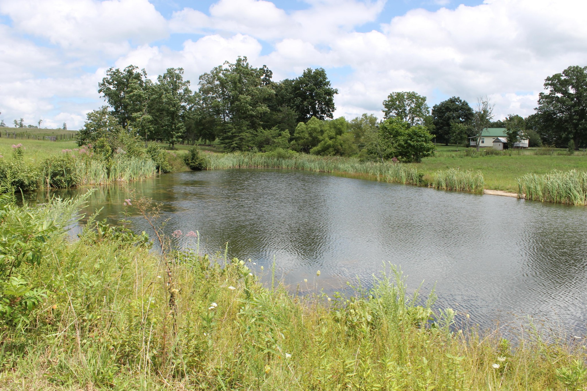 1326 Virgil Beaty Road Clarkrange, TN 38553 - Photo 7 of 26 Gallery Image 7