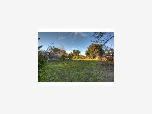 20840 McClellan Road Cupertino, CA 95014 - Photo 4 of 9 a picture of a person in a field