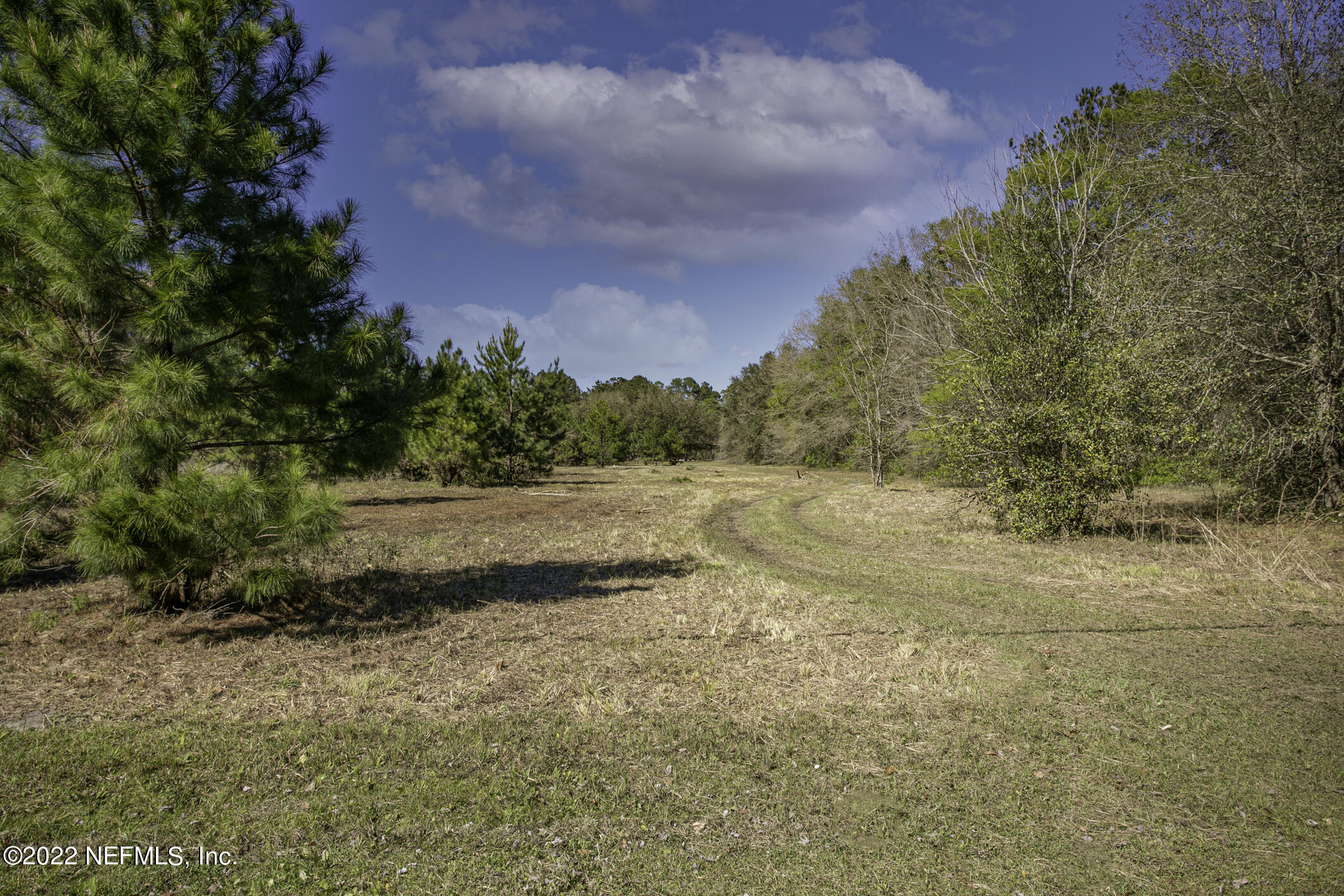 0 Fish Road Jacksonville, FL 32220 - Photo 2 of 16 0 Fish Road (1)