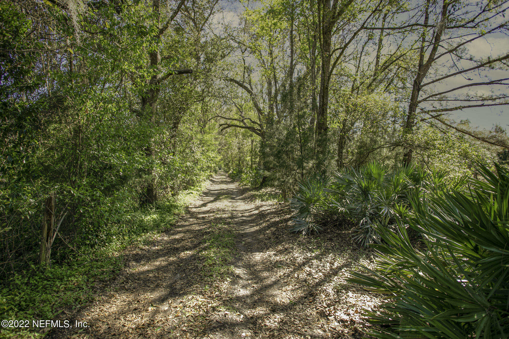 0 Fish Road Jacksonville, FL 32220 - Photo 10 of 16 0 Fish Road (9)
