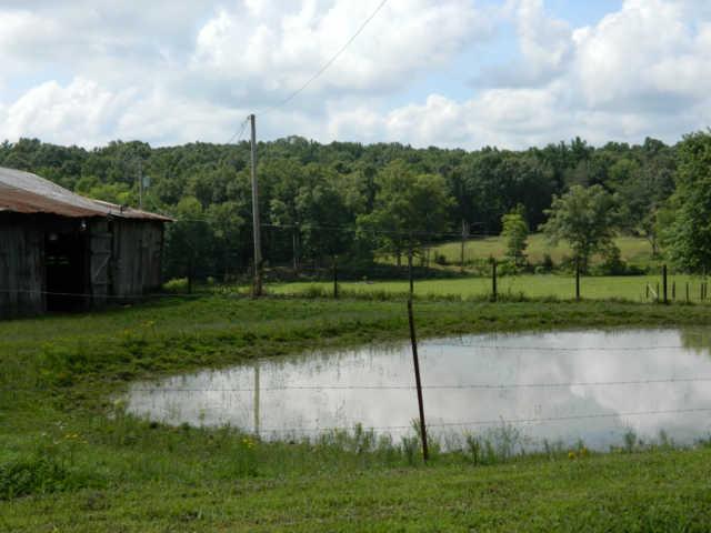 896 Hafner Road Charlotte, TN 37036 - Photo 4 of 20 Gallery Image 4