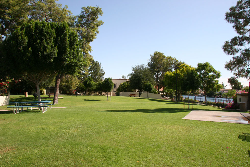 5612 South Jolly Roger Road Tempe, AZ 85283 - Photo 22 of 25 Grassy area