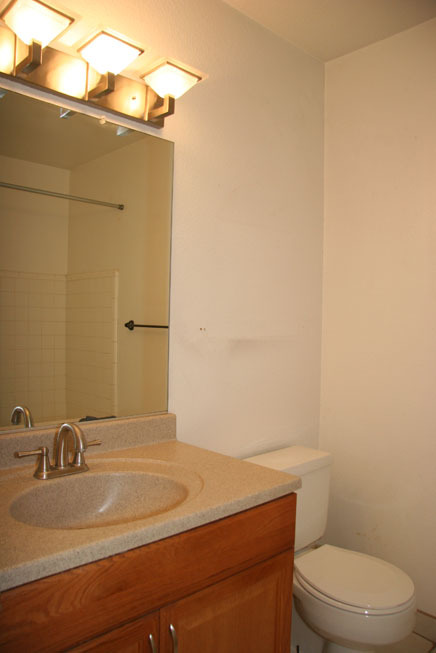 5612 South Jolly Roger Road Tempe, AZ 85283 - Photo 8 of 25 Hall bath