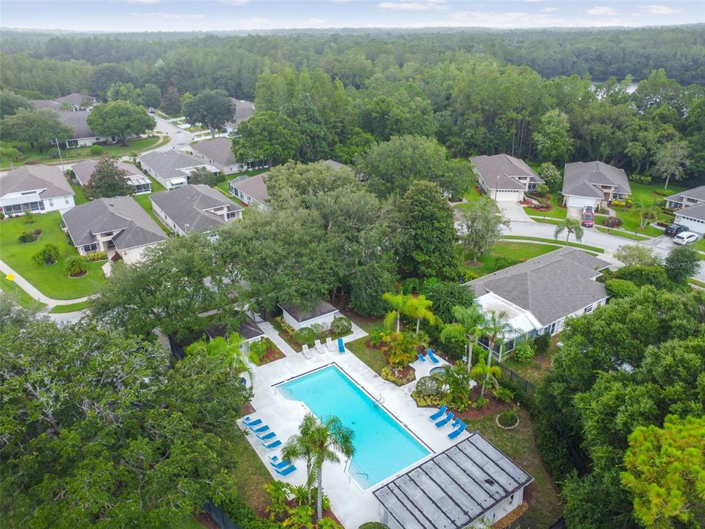 1747 Orchard Grove Avenue New Port Richey, FL 34655 - Photo 68 of 76