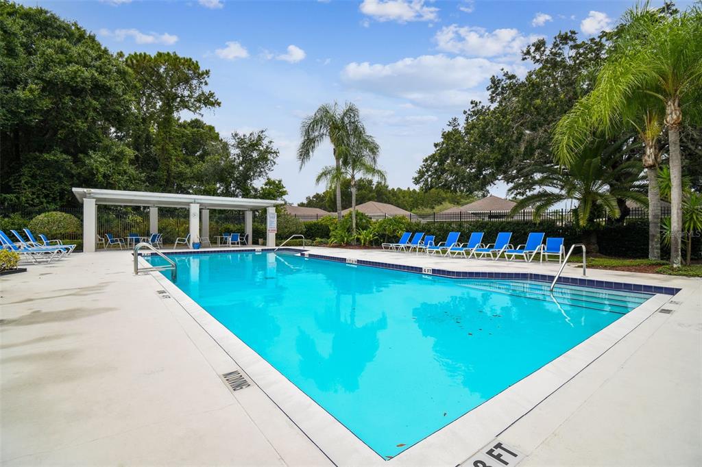 1747 Orchard Grove Avenue New Port Richey, FL 34655 - Photo 73 of 76