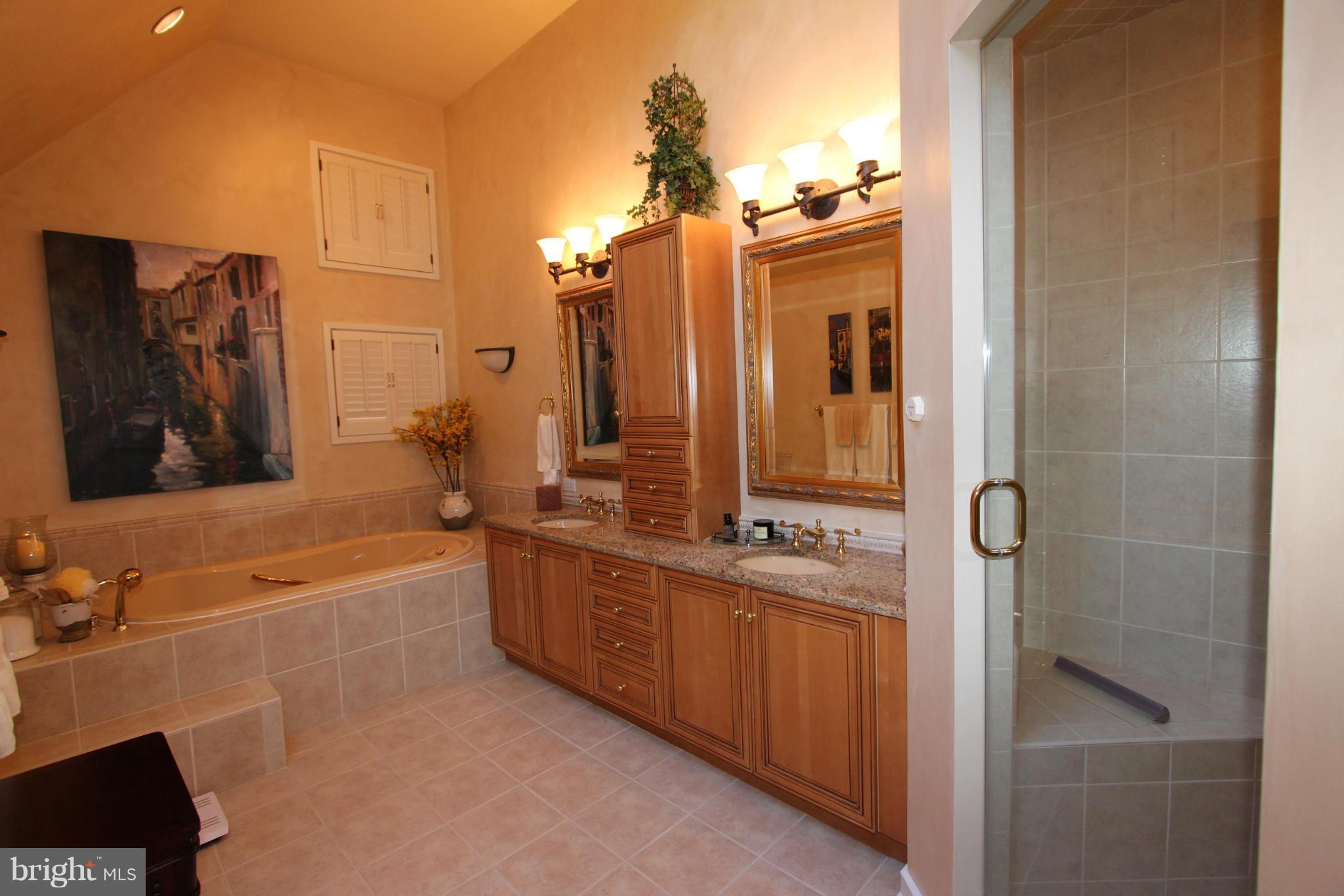 11571 Lake Newport Road Reston, VA 20194 - Photo 11 of 30 Jetted Tub, Double Vanity and Steam Shower