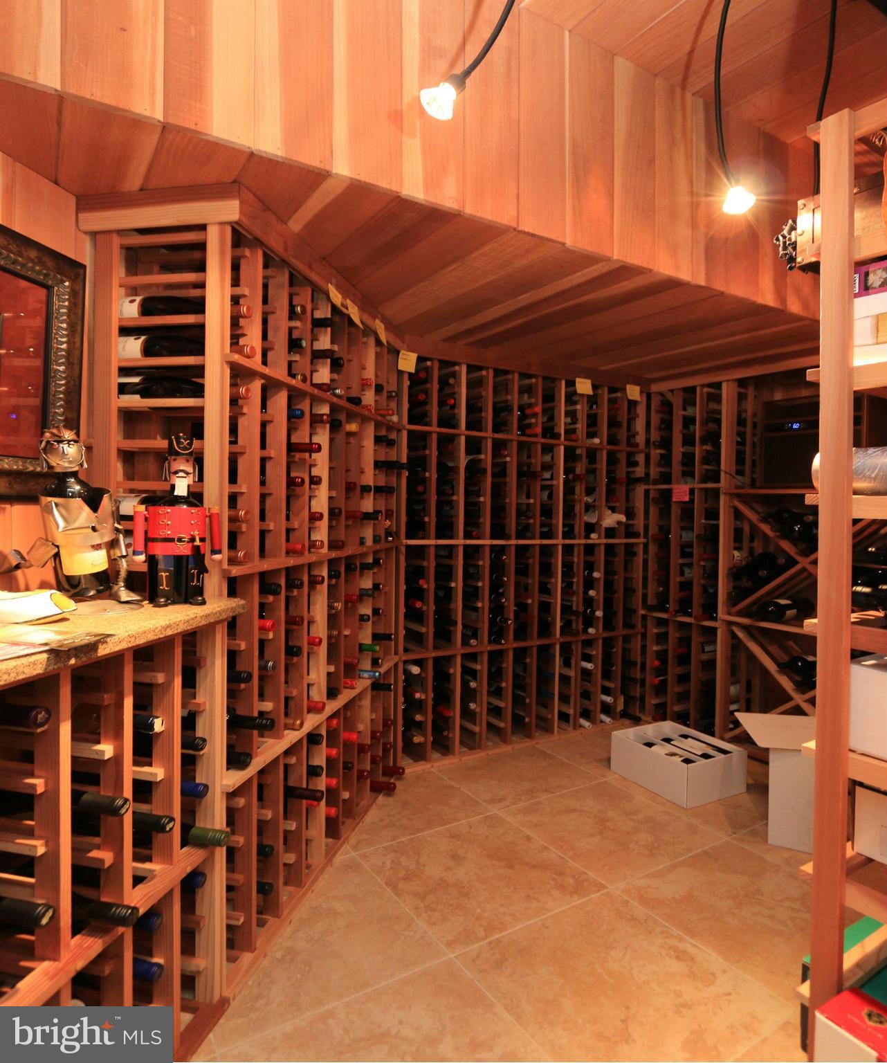 11571 Lake Newport Road Reston, VA 20194 - Photo 25 of 30 Cedar Wine Cellar w/Thermo Controls