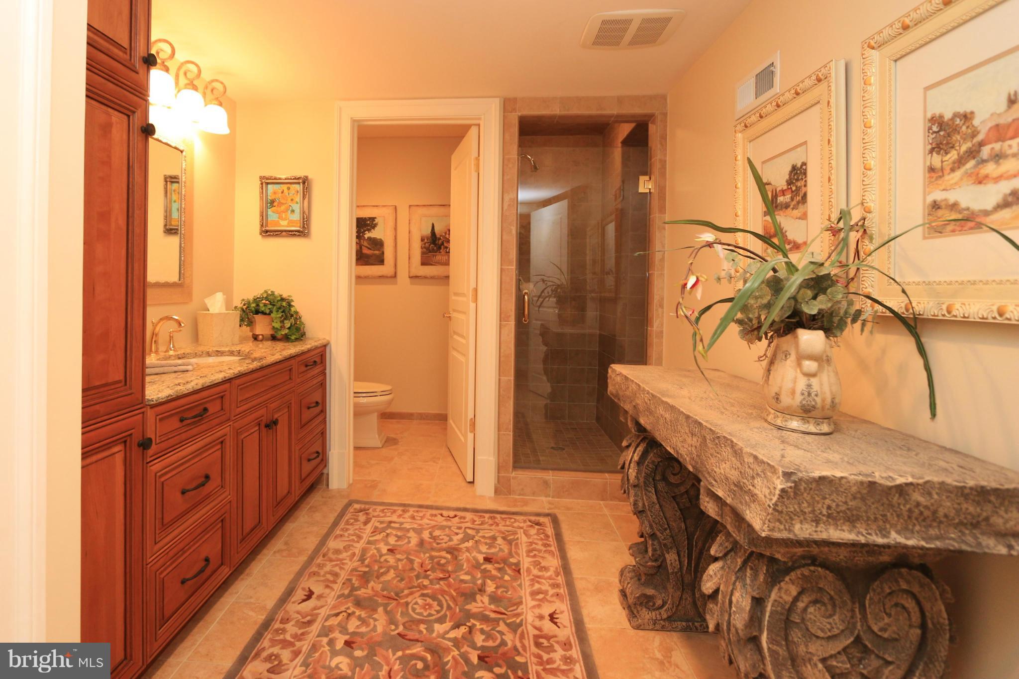 11571 Lake Newport Road Reston, VA 20194 - Photo 27 of 30 Lower Level Full Bath