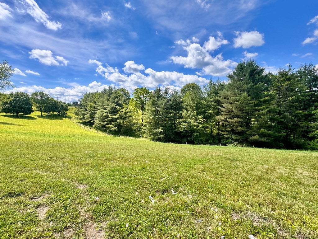 121 Rock House Road Lester, WV 25865 - Photo 38 of 97 Gallery Image 38