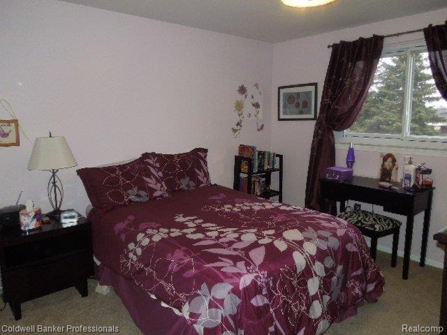 258 Prospect Drive Rochester, MI 48307 - Photo 15 of 19 DSCN0884.JPG