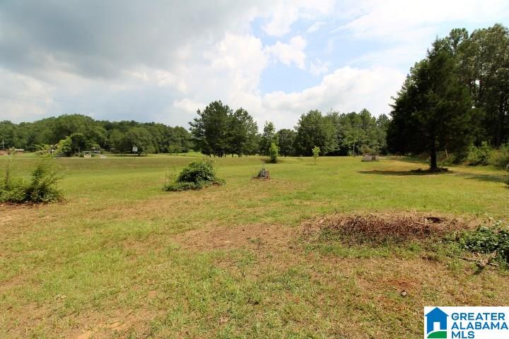 4105 Curry Station Road Munford, AL 36268 - Photo 33 of 39