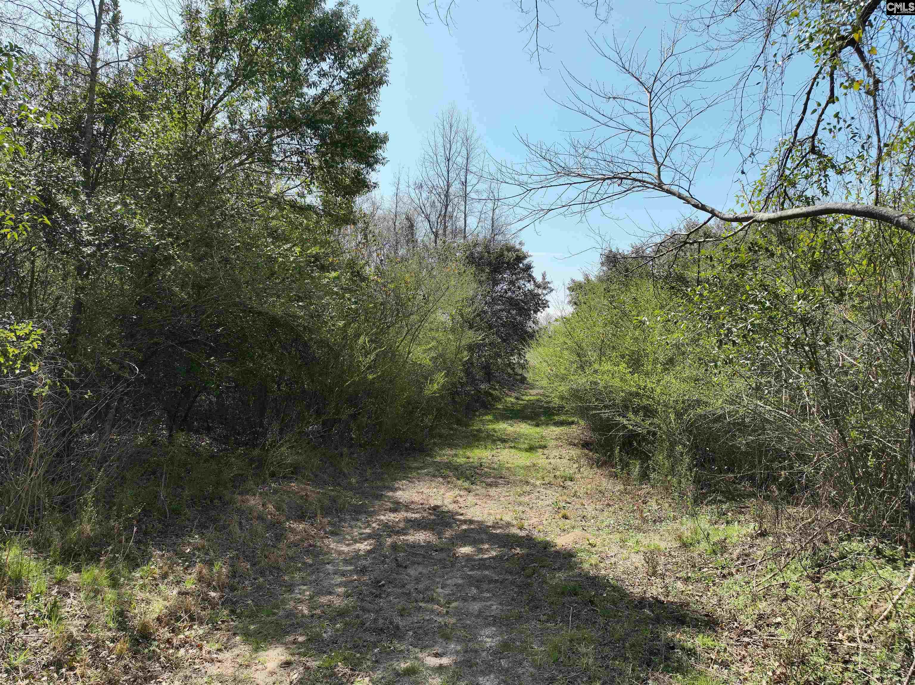 0 Dr Boylston Road Salley, SC 29137 - Photo 22 of 41