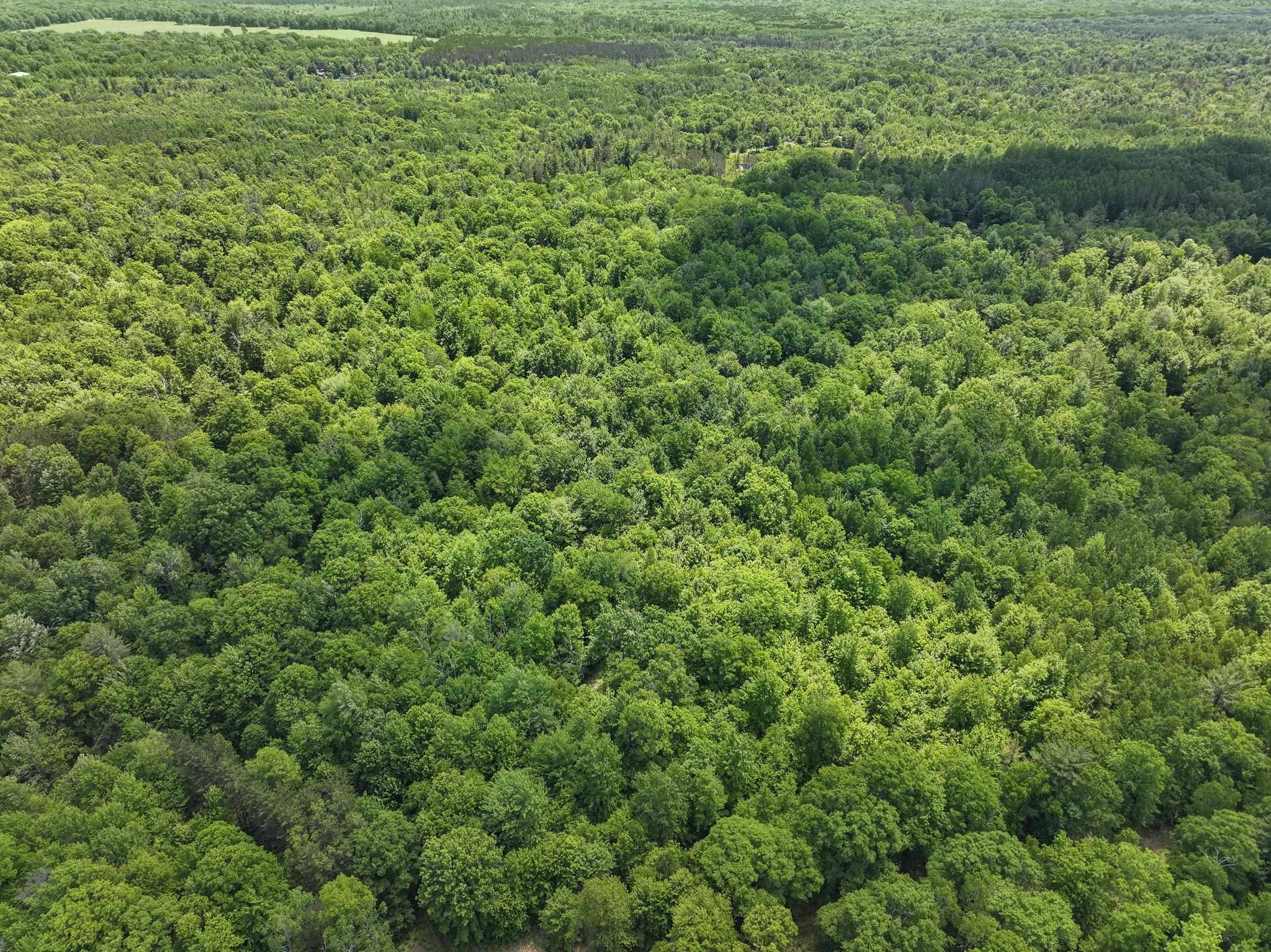 Parcel A Seeley Road Lake City, MI 49651 - Photo 10 of 16