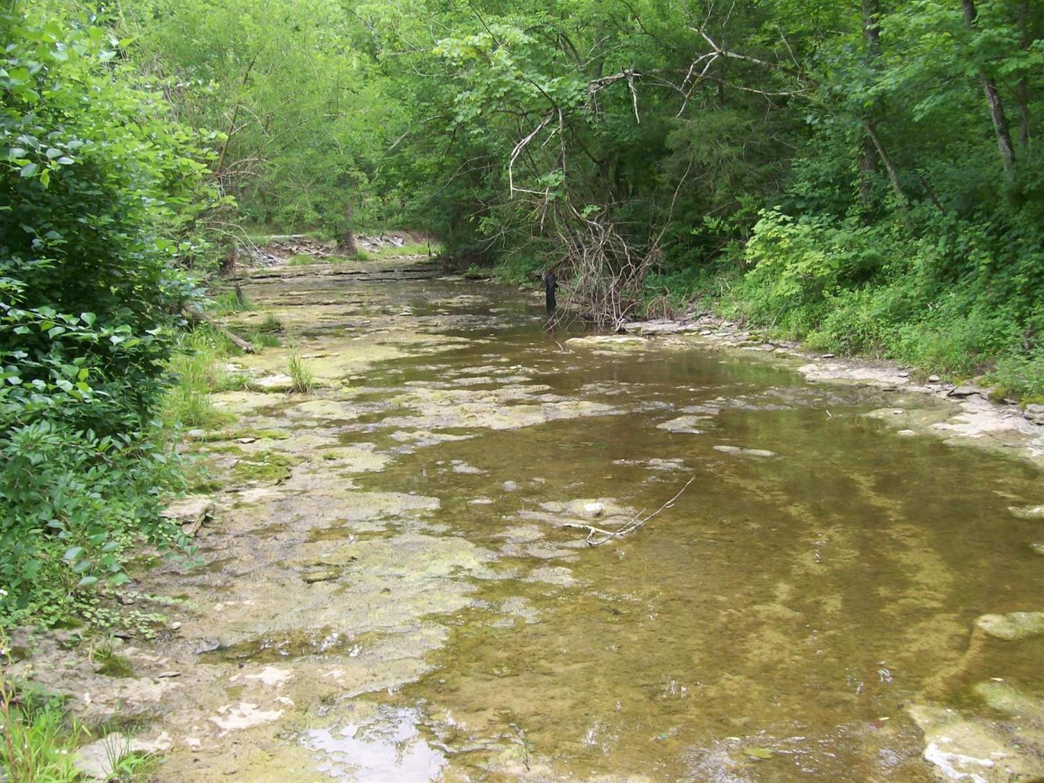 2 Lock 8 Road Nicholasville, KY 40356 - Photo 6 of 14 Photo 6