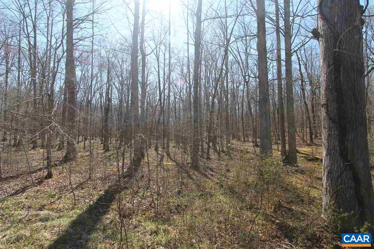 2376 Courthouse Road Louisa, VA 23093 - Photo 45 of 50
