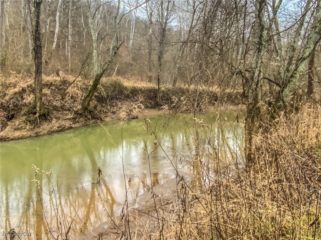 0 Wells Road Middleport, OH 45760 - Photo 15 of 27 Water view