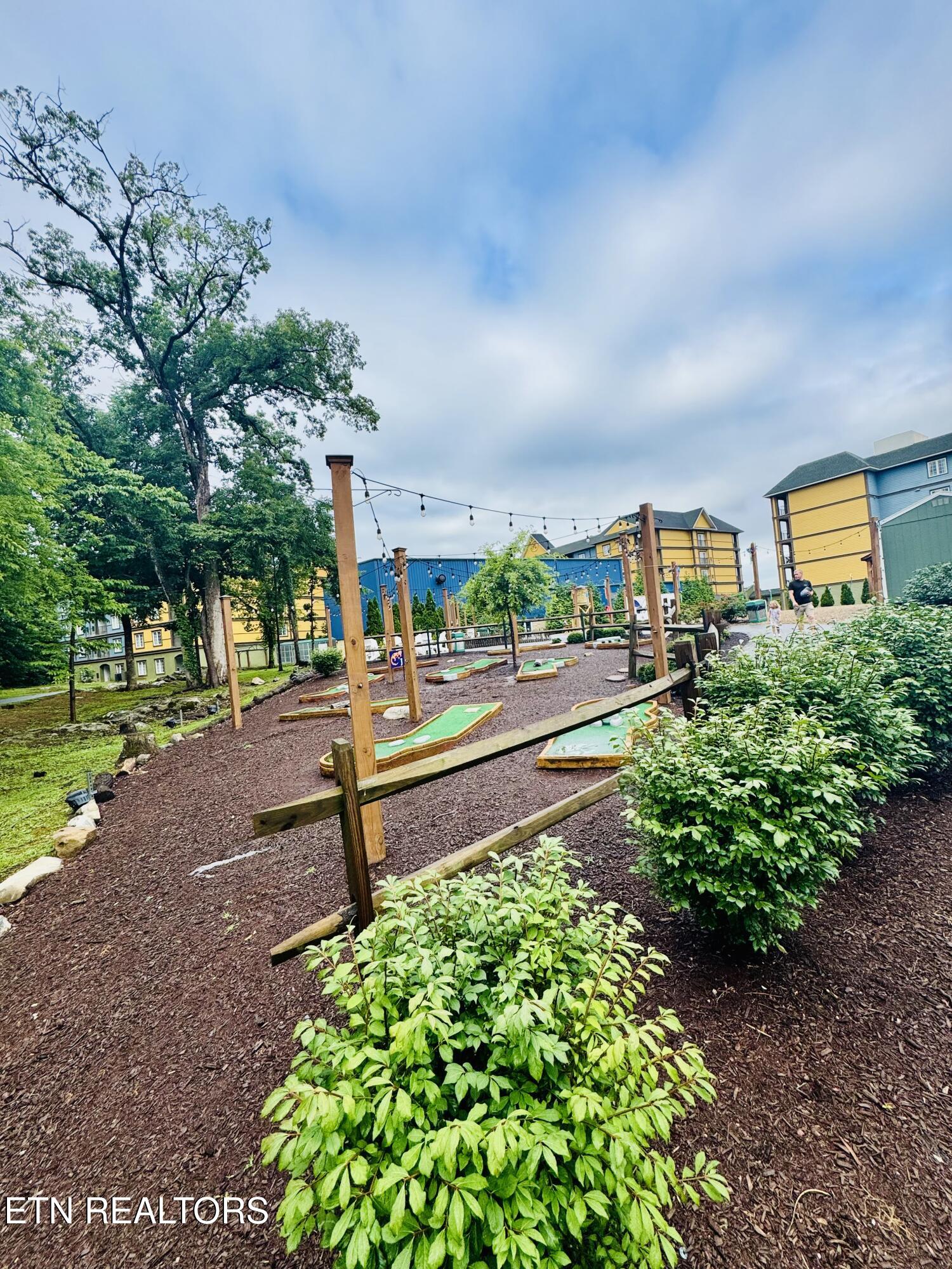 225 Collier Drive, Unit 2311 Sevierville, TN 37862 - Photo 35 of 49 IMG_2608