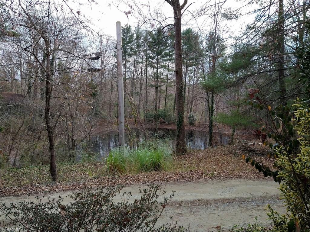 441 Jack Young Road Lexington, NC 27292 - Photo 17 of 32 Gallery Image 17