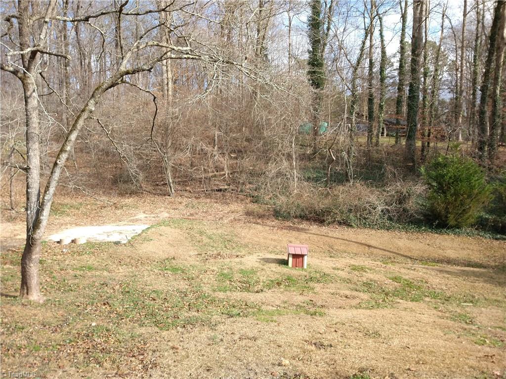 441 Jack Young Road Lexington, NC 27292 - Photo 18 of 32 Gallery Image 18