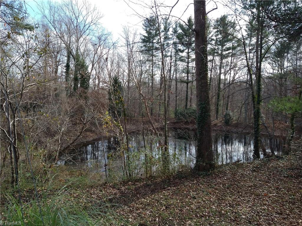 441 Jack Young Road Lexington, NC 27292 - Photo 30 of 32 Gallery Image 30