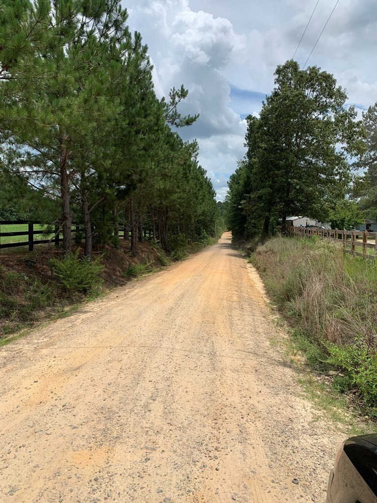 0 Paul Road Monetta, SC 29105 - Photo 2 of 14
