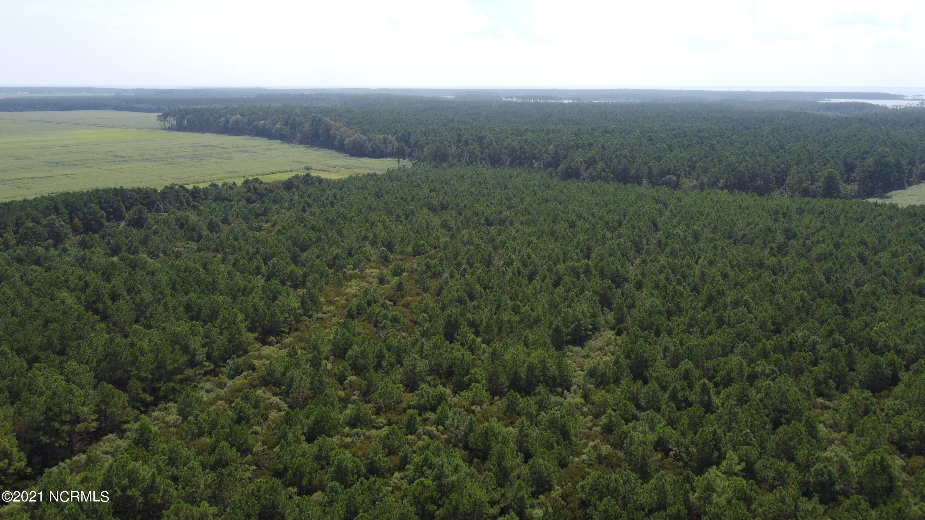 0 Loop Road Scranton, NC 27875 - Photo 11 of 17 Photo_6554223_DJI_623_jpg_4398121_0_2021