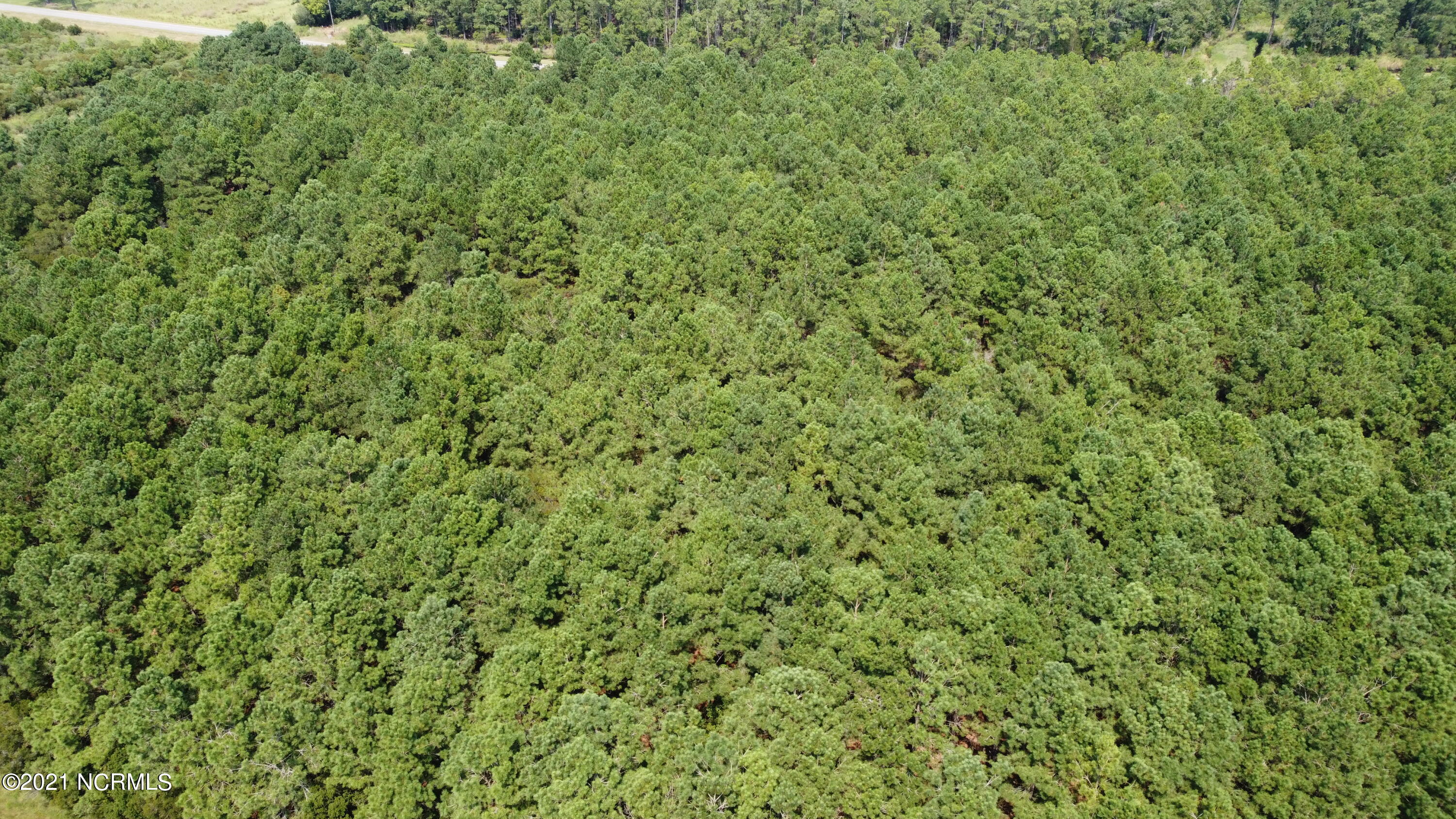 0 Loop Road Scranton, NC 27875 - Photo 16 of 17 Photo_6554228_DJI_628_jpg_4113334_0_2021