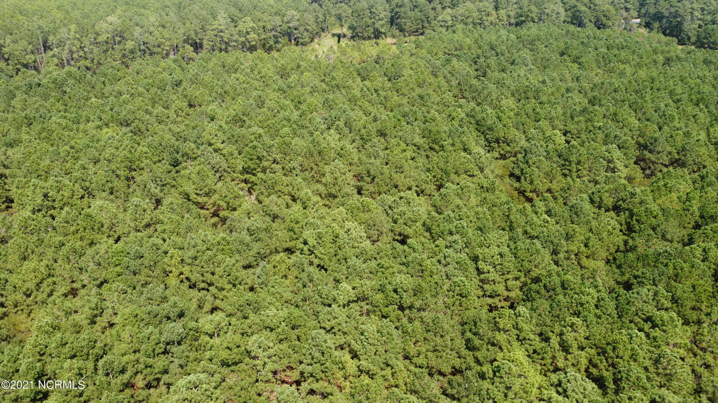 0 Loop Road Scranton, NC 27875 - Photo 17 of 17 Photo_6554229_DJI_629_jpg_4144268_0_2021