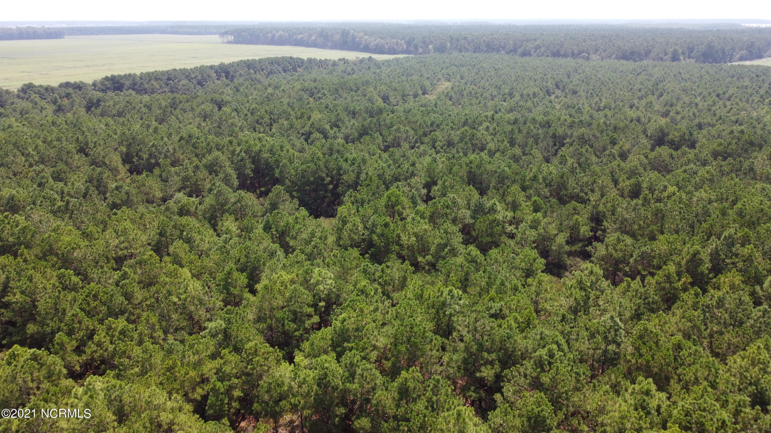 0 Loop Road Scranton, NC 27875 - Photo 3 of 17 Photo_6554215_DJI_615_jpg_4232133_0_2021