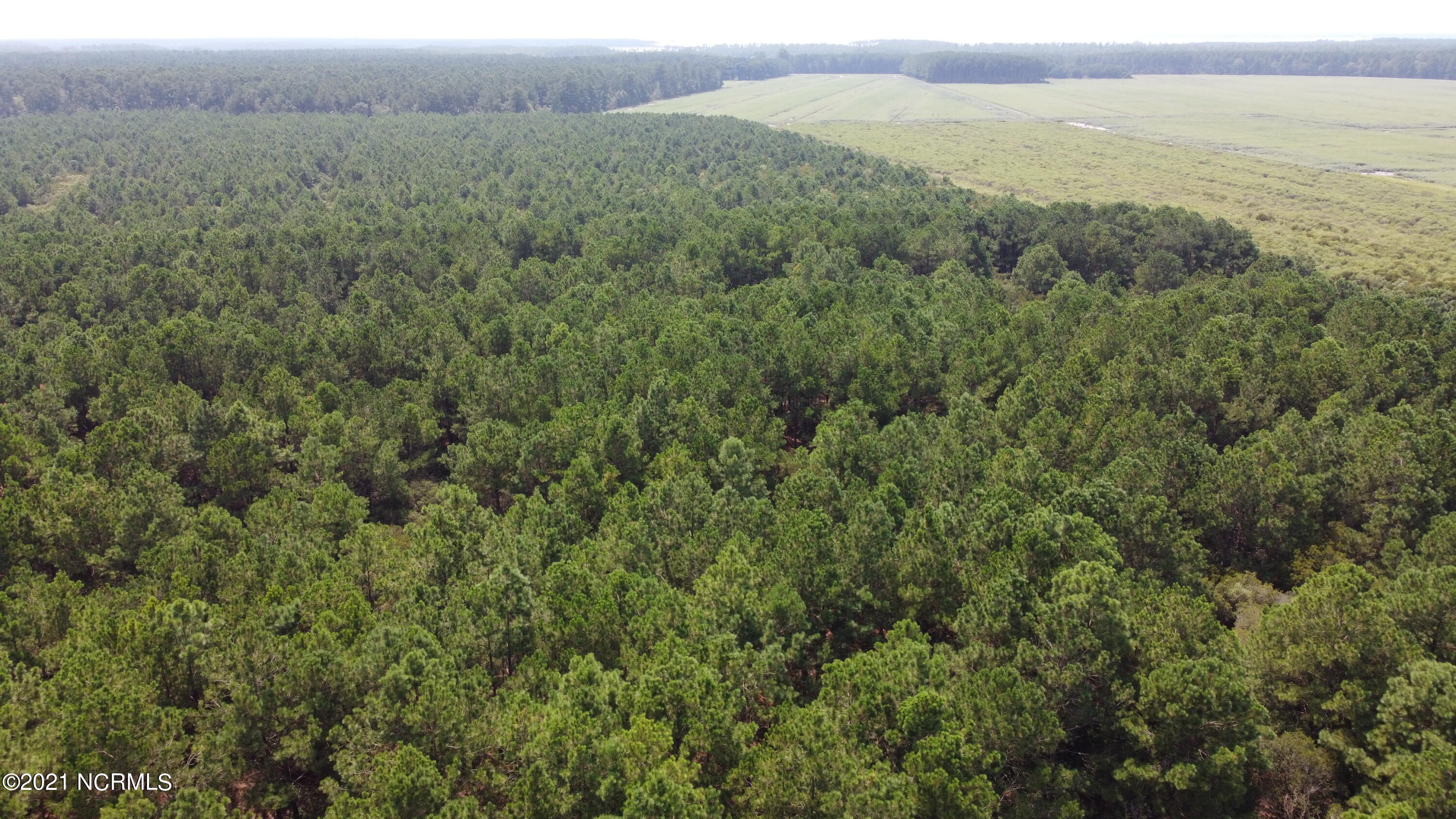 0 Loop Road Scranton, NC 27875 - Photo 4 of 17 Photo_6554216_DJI_616_jpg_4055863_0_2021