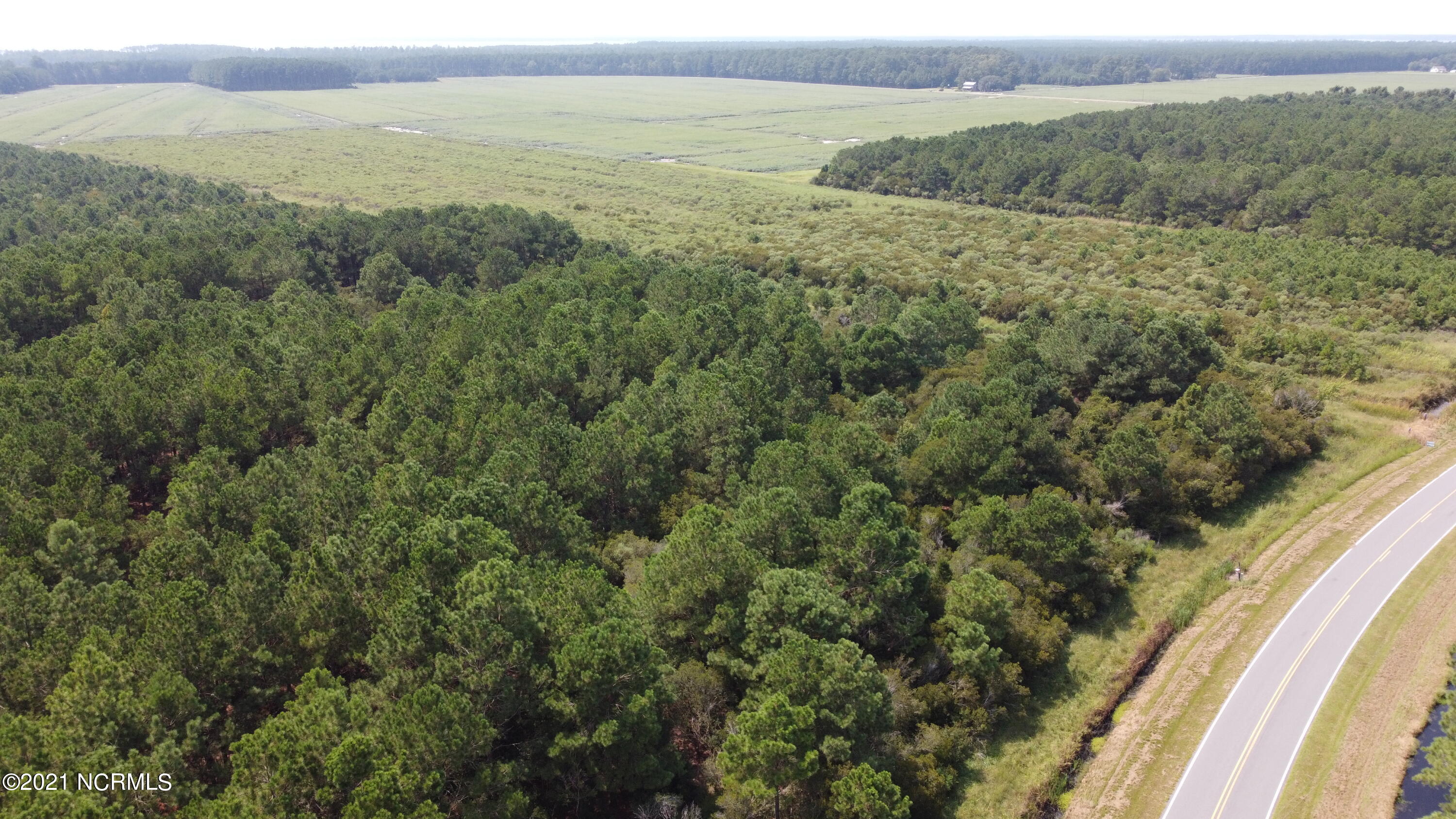 0 Loop Road Scranton, NC 27875 - Photo 5 of 17 Photo_6554217_DJI_617_jpg_4167008_0_2021