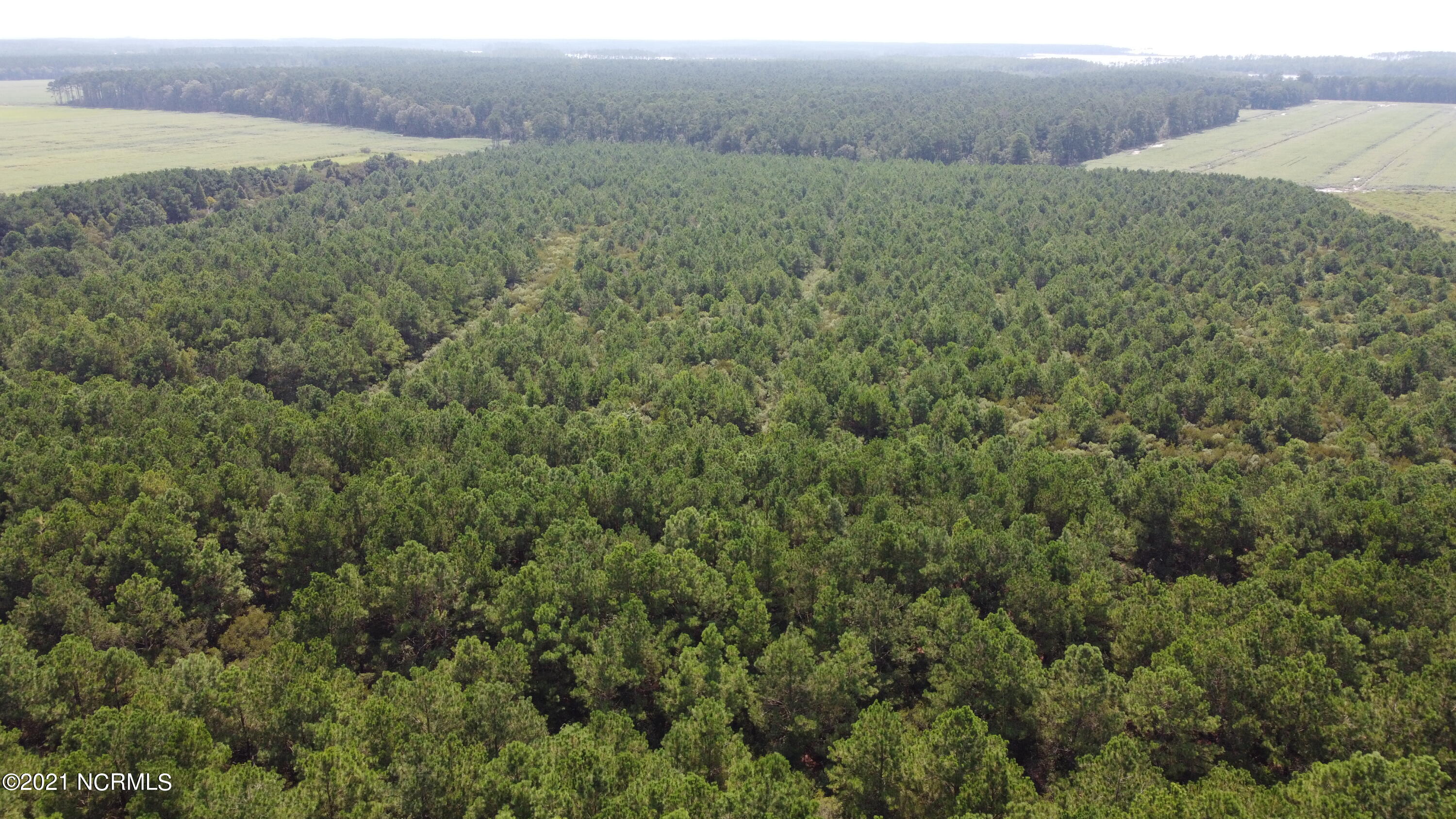 0 Loop Road Scranton, NC 27875 - Photo 6 of 17 Photo_6554218_DJI_618_jpg_4078923_0_2021