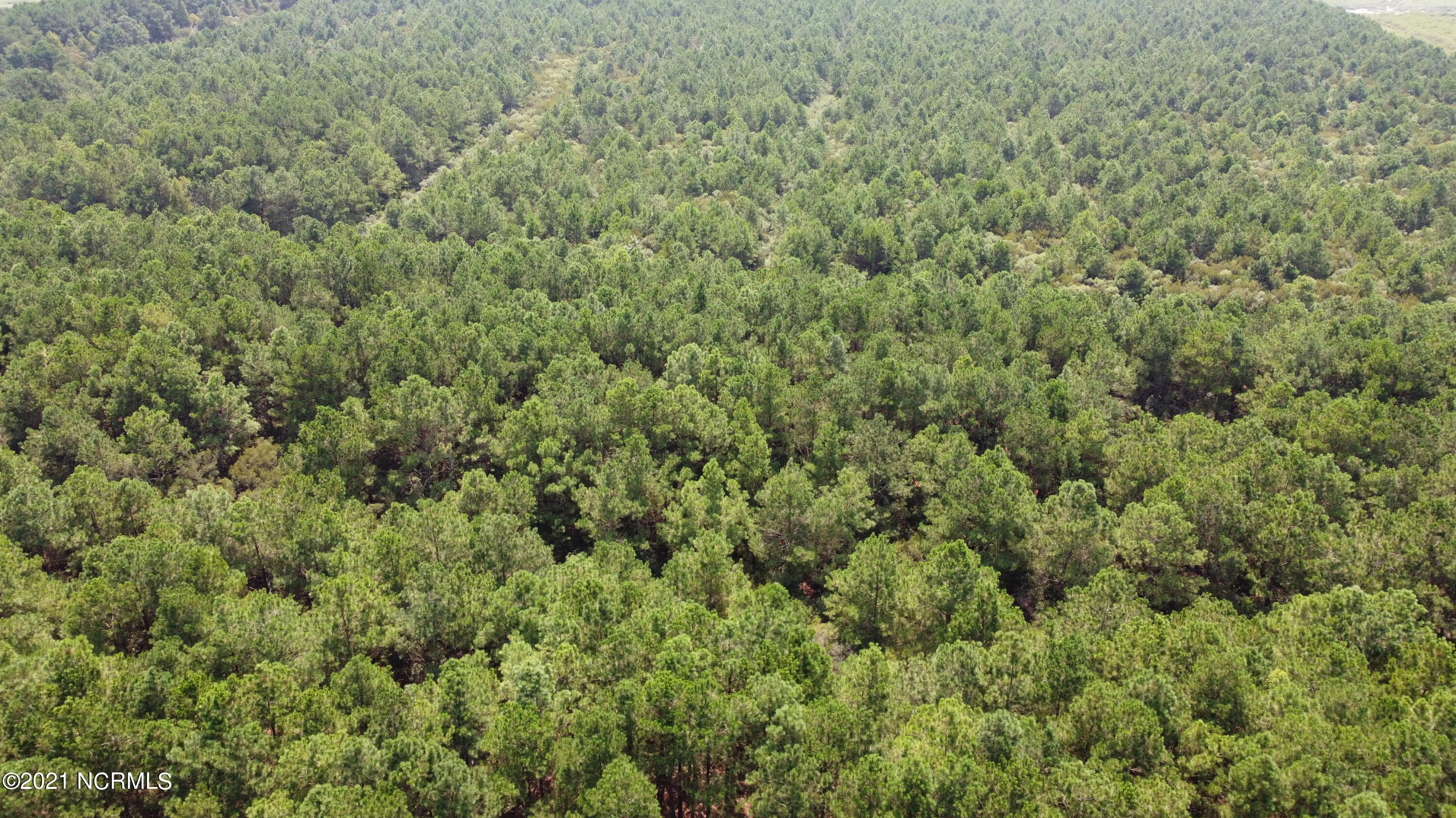 0 Loop Road Scranton, NC 27875 - Photo 7 of 17 Photo_6554219_DJI_619_jpg_4103022_0_2021