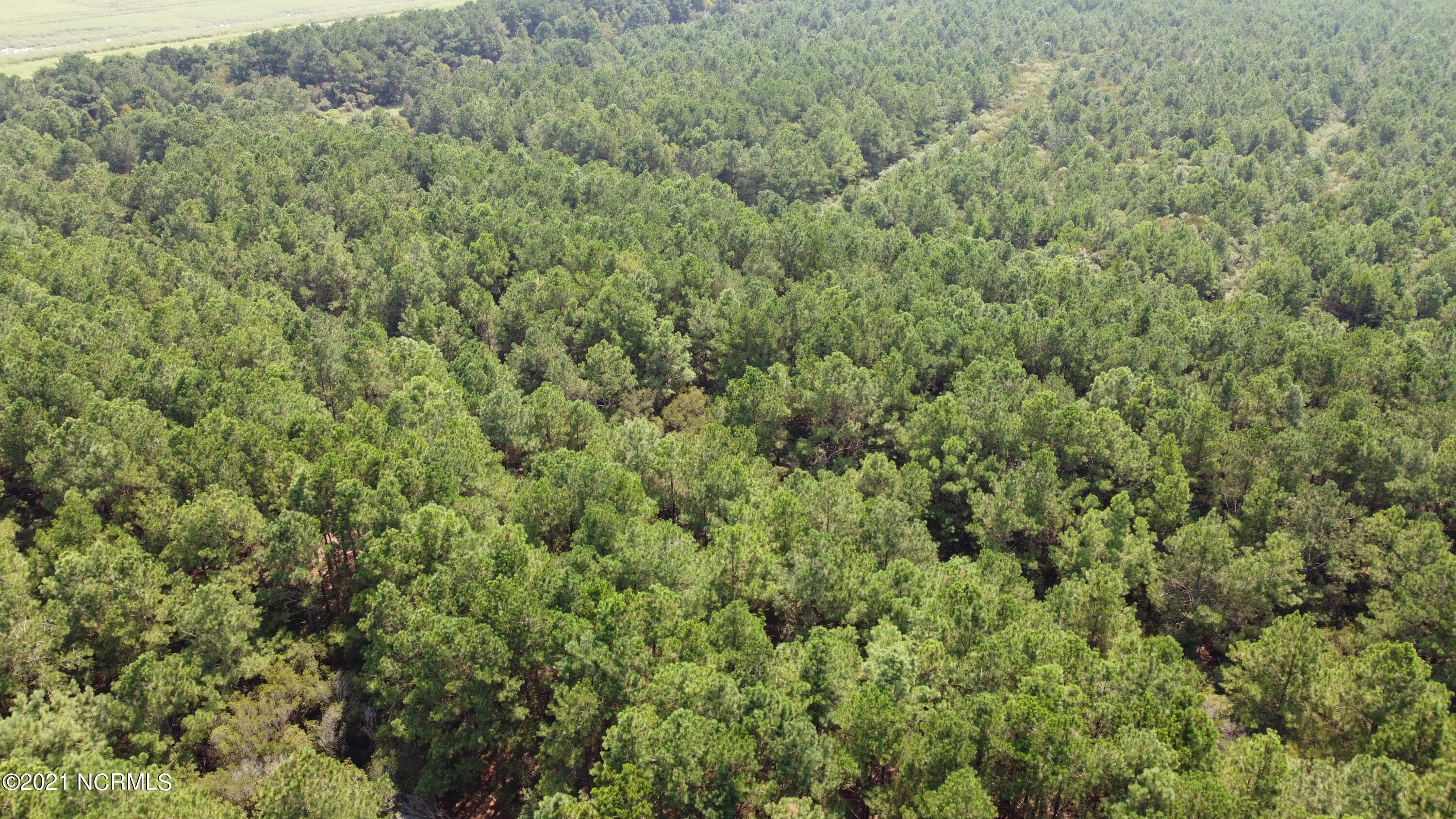 0 Loop Road Scranton, NC 27875 - Photo 8 of 17 Photo_6554220_DJI_620_jpg_4071907_0_2021
