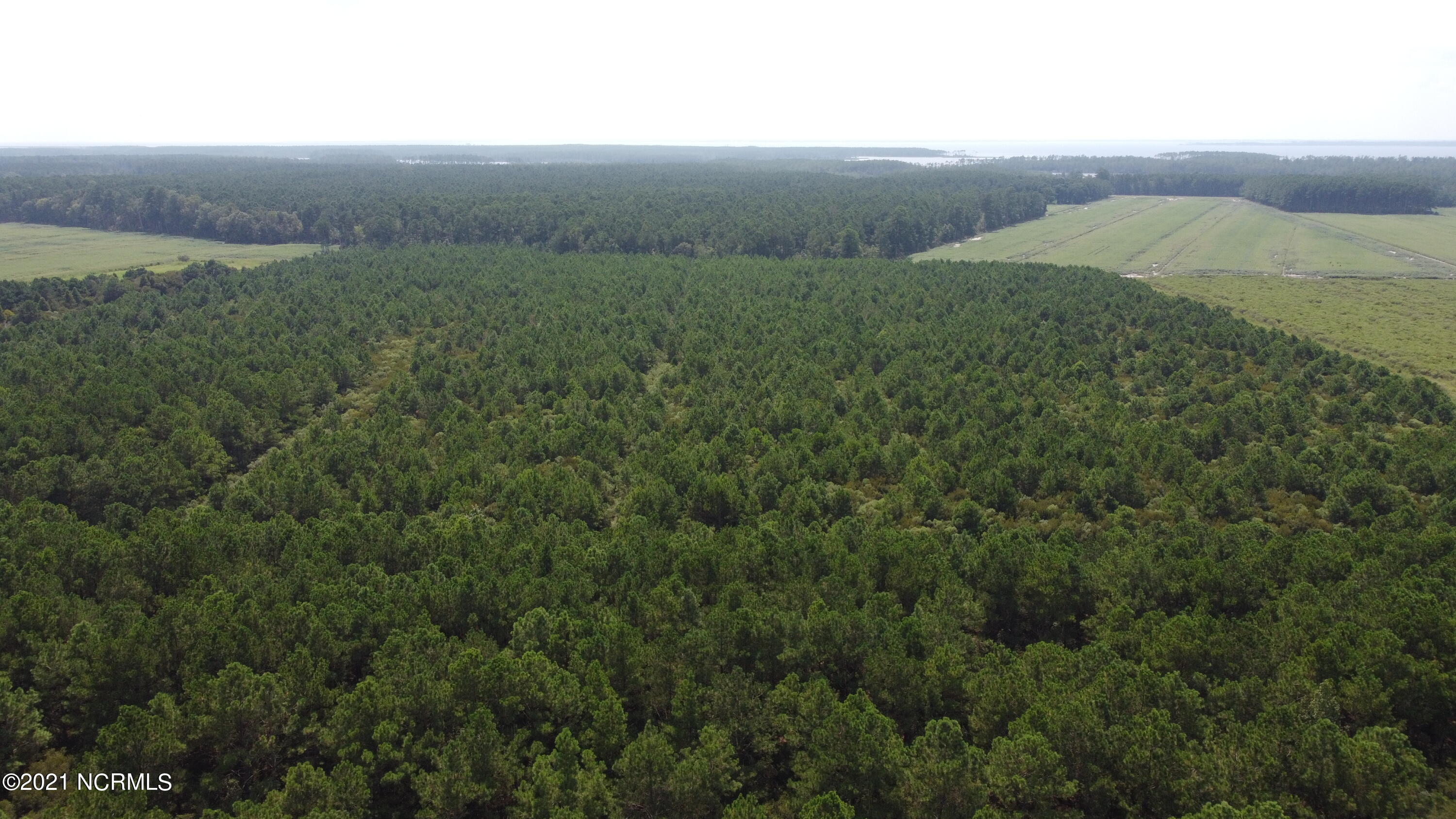 0 Loop Road Scranton, NC 27875 - Photo 9 of 17 Photo_6554221_DJI_621_jpg_4272637_0_2021
