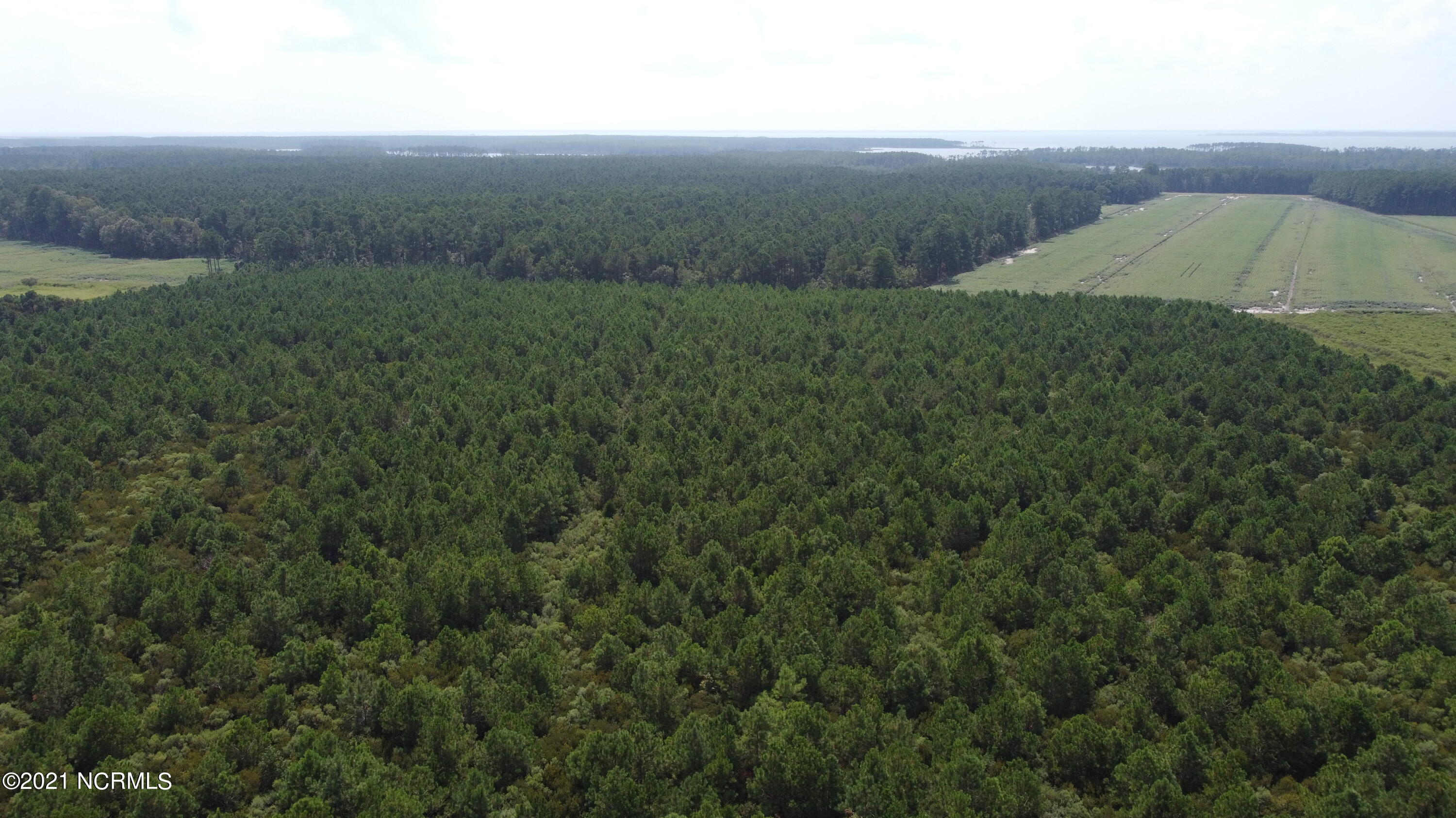 0 Loop Road Scranton, NC 27875 - Photo 10 of 17 Photo_6554222_DJI_622_jpg_4432827_0_2021
