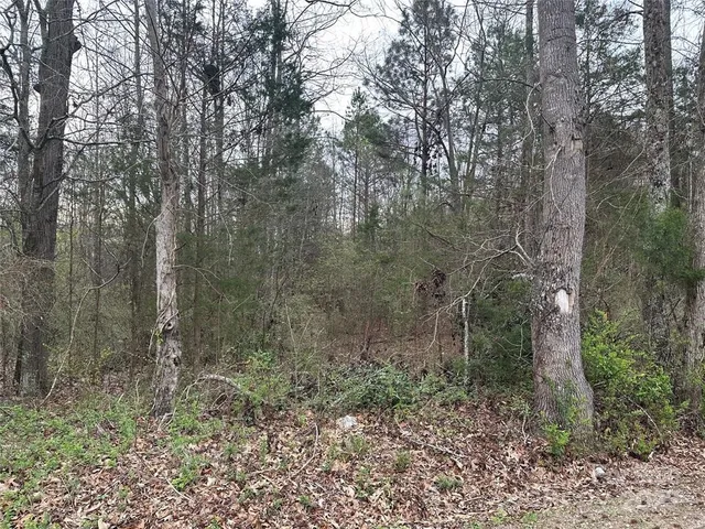 $75,000 | 0 Zion Church Roads, Pacolet, SC 29372