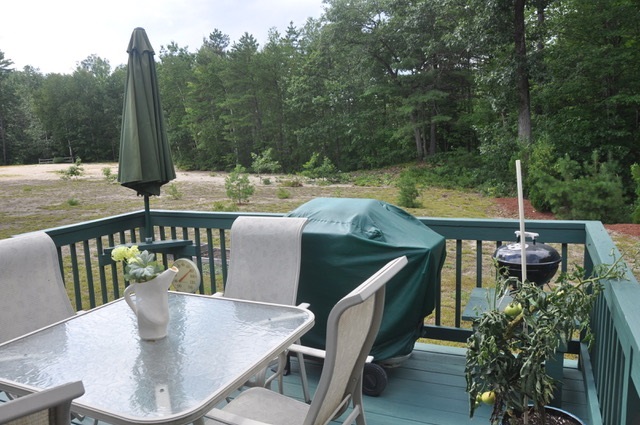47 Blueberry Road Ossipee, NH 03814 - Photo 6 of 24