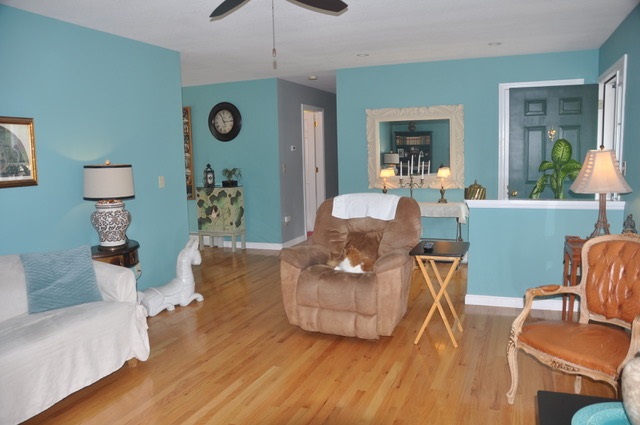 47 Blueberry Road Ossipee, NH 03814 - Photo 10 of 24