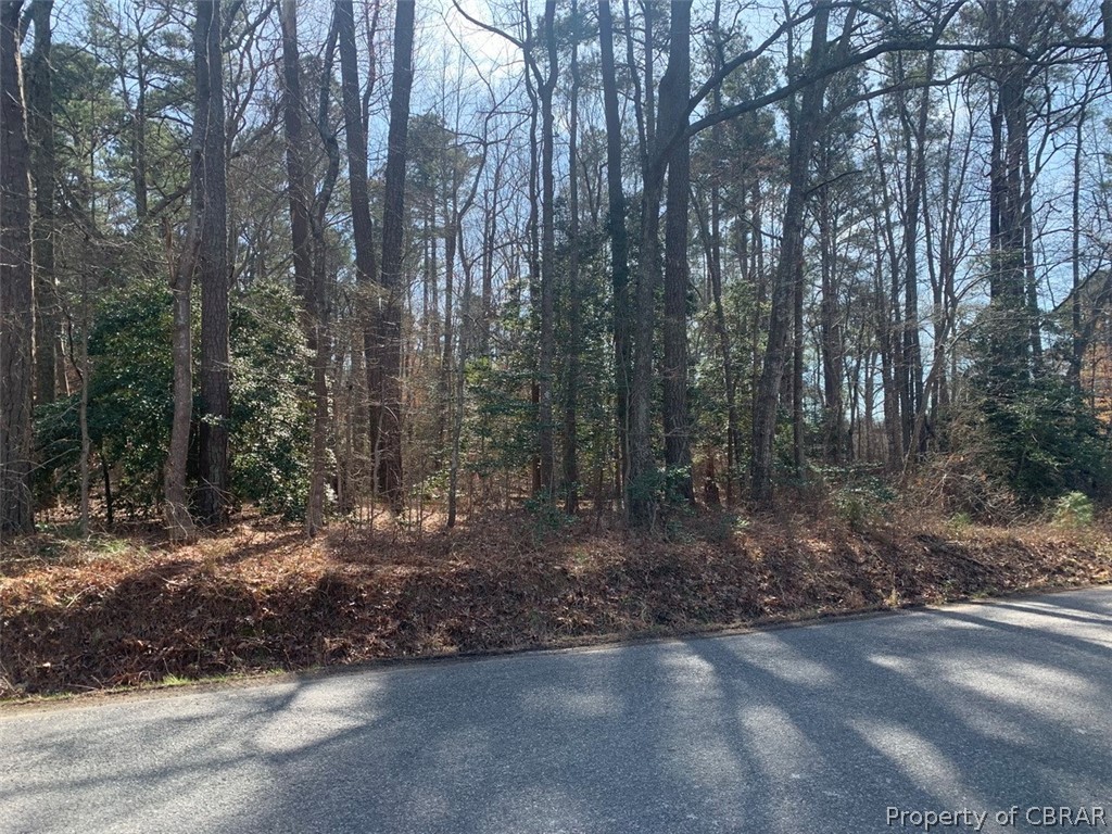 0 Wake Road Wake, VA 23176 - Photo 1 of 2 Gallery Image 1